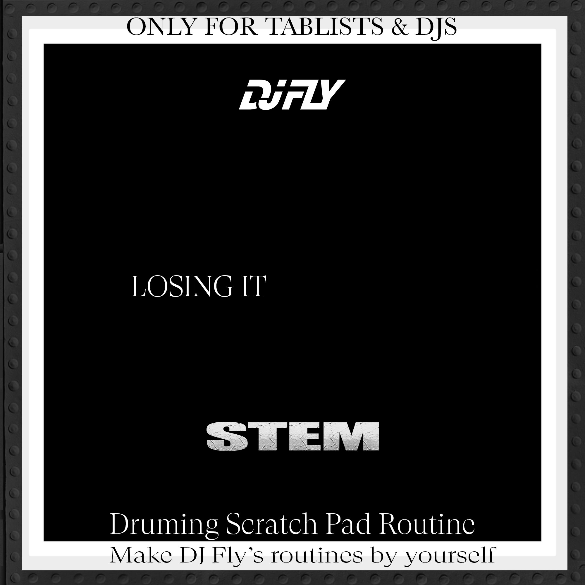Dj Fly - Losing it stem (artwork)