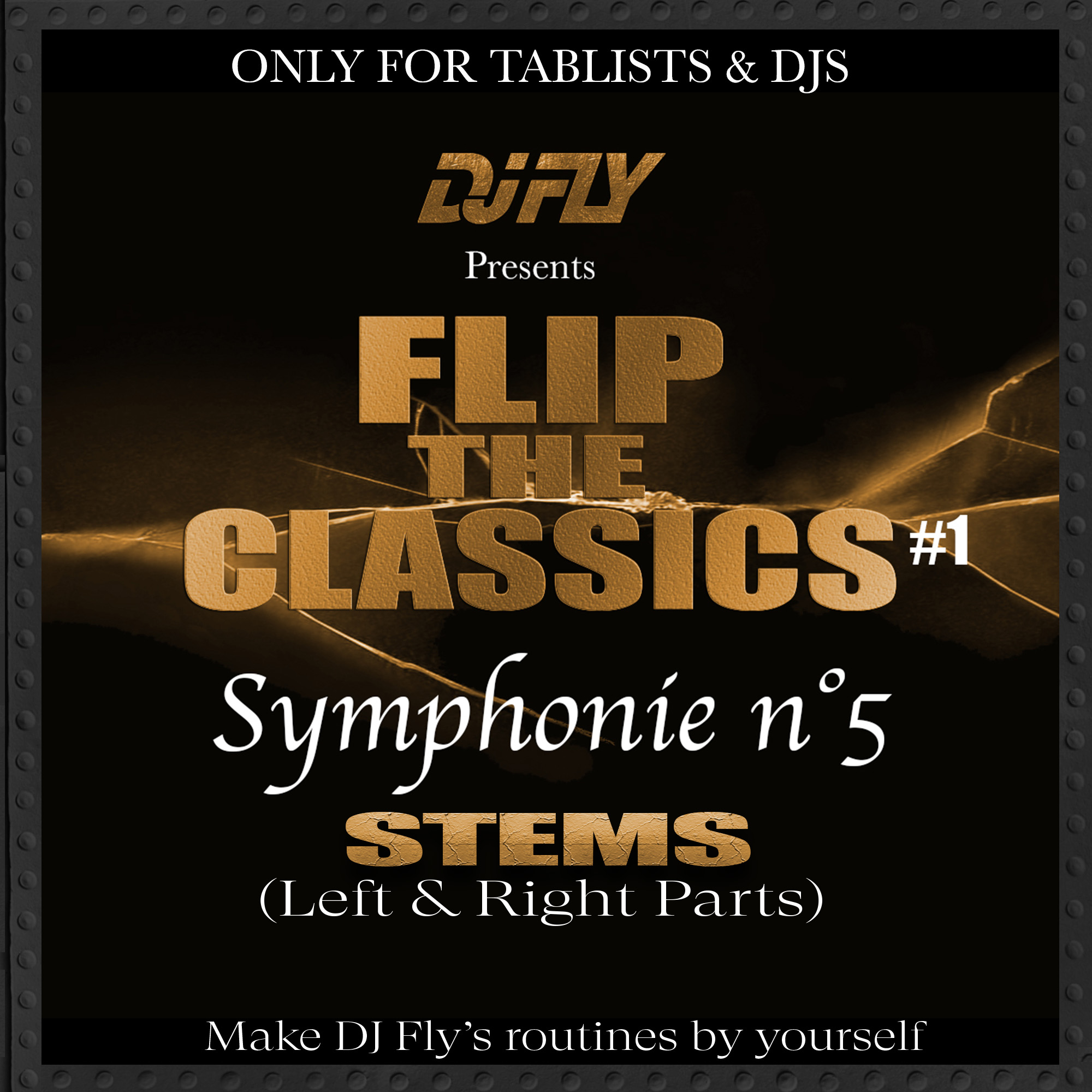 Dj-Fly-Stems-Symphonie-5