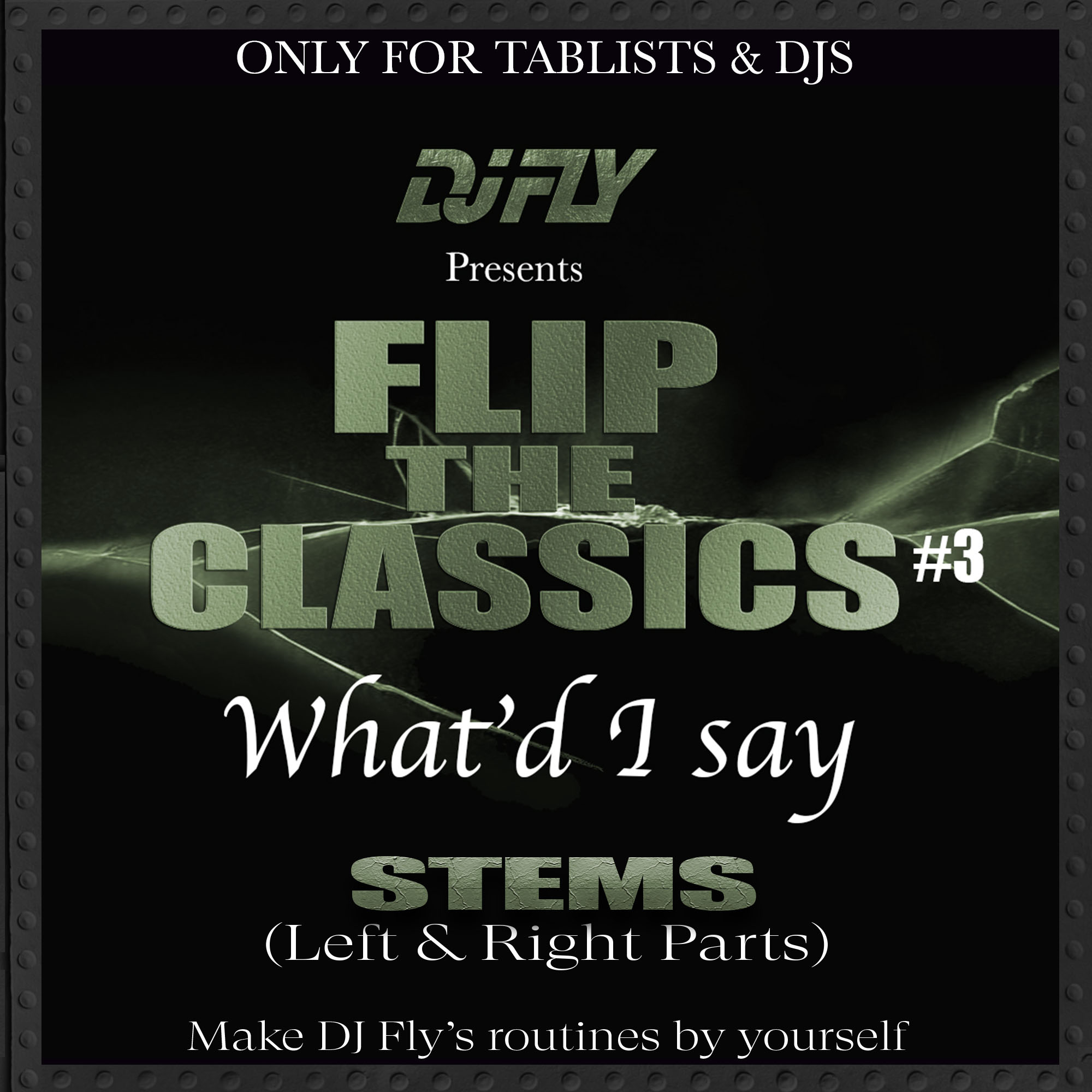 Dj Fly - What'd I say (artwork)