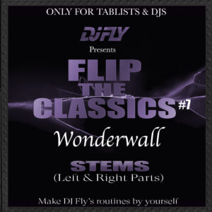 Dj Fly - Wonderwall (artwork)